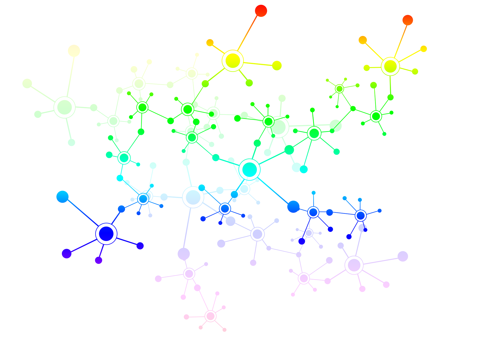 network picture