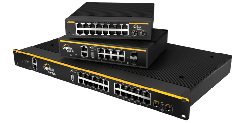 Peplink Switch
